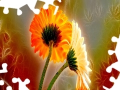 Grafika, Fractalius, Gerbery