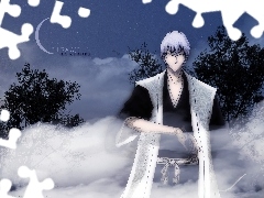 Gin Ichimaru, Noc, Bleach
