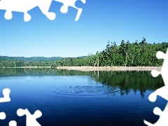 Las, Jezioro