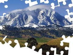 Drzewa, Góry, Pola