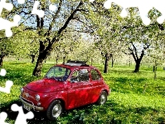 Sad, Trawa, Fiat 500