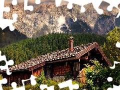 Dom, Drewniany, Góry, Las
