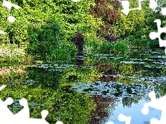 Zieleń, Lato, Staw