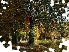 Park, Staw, Jesień