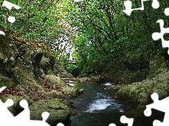 Kamienie, Las, Rzeka