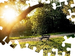 Słońce, Przebijające, Park, Ławka