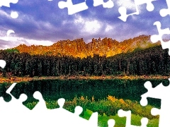 Las, Jezioro, Góra