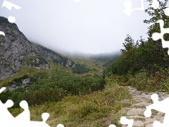 Ścieżka, rośliny, Góry