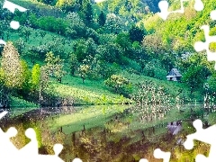 Jezioro, Las, Wiosna