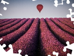 Balon, Lawenda