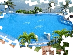 Basen, Palmy, Hotel