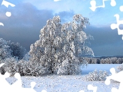 Śnieg, Zima, Drzewa