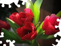 Tulipany, Czerwone