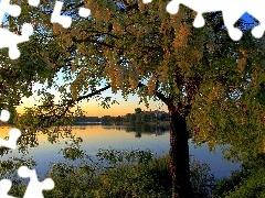 Drzewa, Jezioro