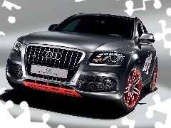 Concept, Audi Q5