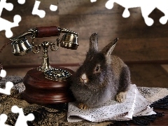 Telefon, Gazeta, Króliczek