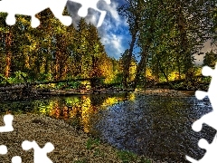 Rzeka, Las