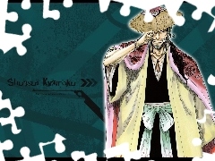 Kapitan, Dywizja 8, Shunsui Kyouraku