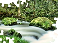 Kamienie, Las, Rzeka