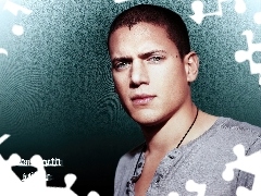 szara koszulka, Wentworth Miller