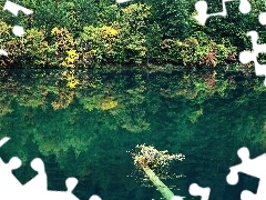 Las, Jezioro