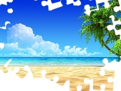 Plaża, Piasek, Palmy