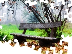Ławeczka, Park, Zamglony, Jesienny