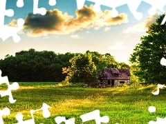 Polana, Zieleń, Domek
