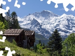 Drzewa, Góry, Domki