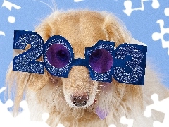 Rok, Nowy, Pies, Okulary