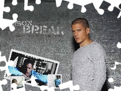 szara bluzka, Wentworth Miller