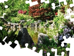 Korea, Roślinność, Ogród, Oczko Wodne
