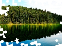 Drzewa, Odbicie, Jezioro, Lustrzane