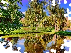Jezioro, Drzewa