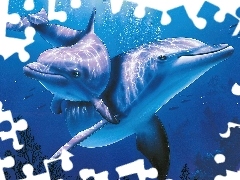 Delfiny, Woda