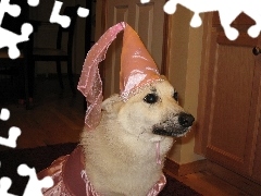 ubranko, Norsk Buhund