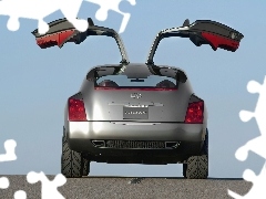 Tył, Infiniti Triant