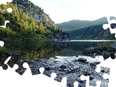 Drzewa, Jezioro, Góry