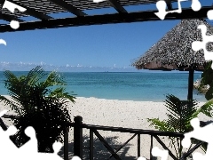 Palmy, Taras, Plaża, Ocean