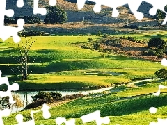 Pole Golfowe