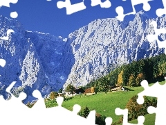Domy, Las, Góry, Łąka
