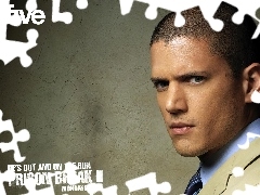 niebieska koszula, Wentworth Miller