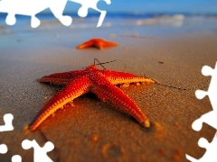 Rozgwiazdy, Piasek, Morze, Plaża