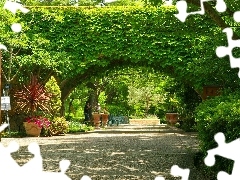 Aleja, Drzewa, Park