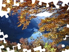 Glarus, Gałęzie, Jezioro, Szwajcaria, Góry