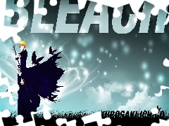 Kurosaki Ichigo