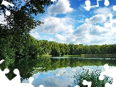 Odbicie, Chmury, Jezioro, Las