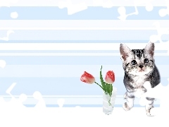 Dwa, Tulipany, Kotek