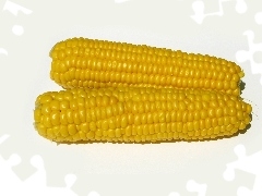 Kukurydzy, Dwie, Kolby