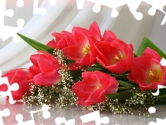 Czerwone, Tulipany, Kwiaty